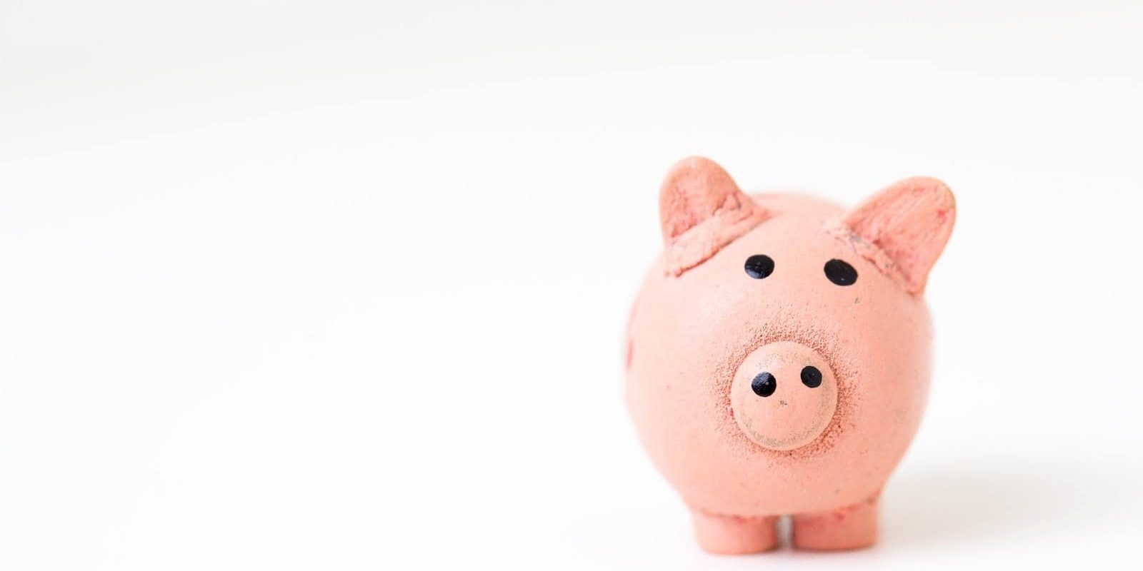 pink pig figurine on white surface